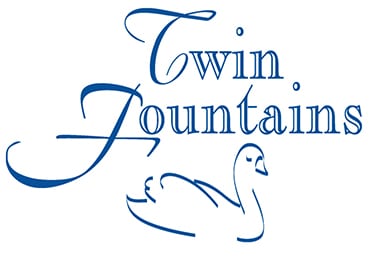 Image of TWIN FOUNTAINS