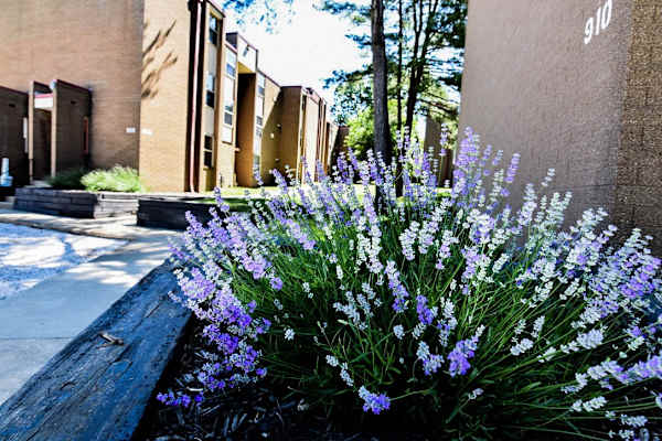 Eagles Landing Apartments property