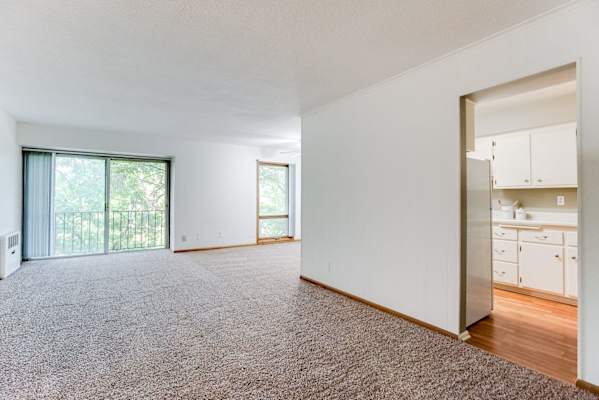 Wayzata Woods property