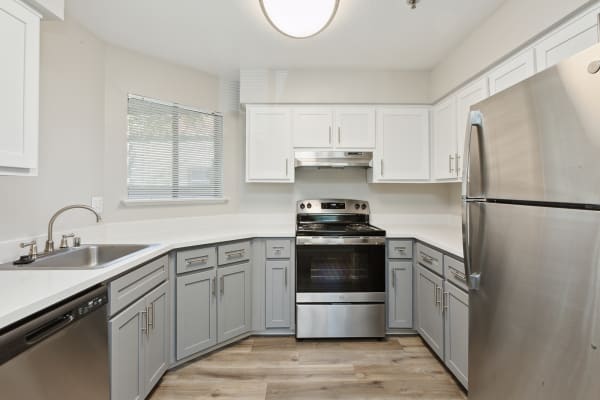 ReNew on Summerfield property