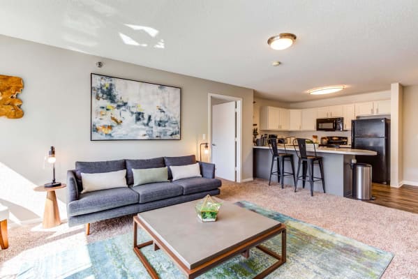 Zen Chaska property