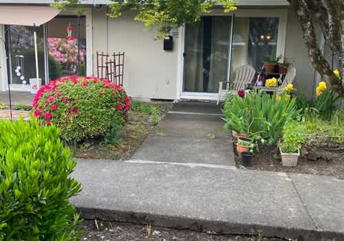 Laurel on 2nd property