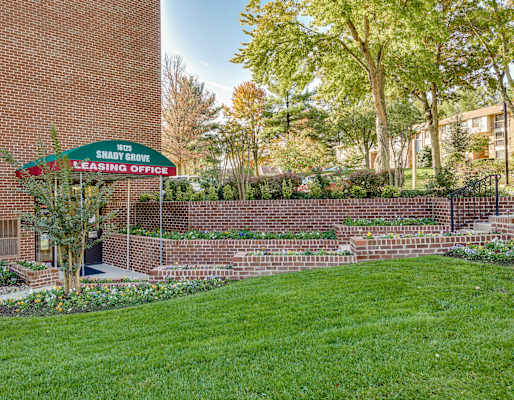 Shady Grove Apartments property