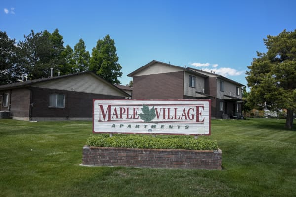 Maple Village Apartments property