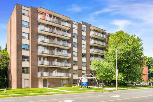 Albion Court Apartments property
