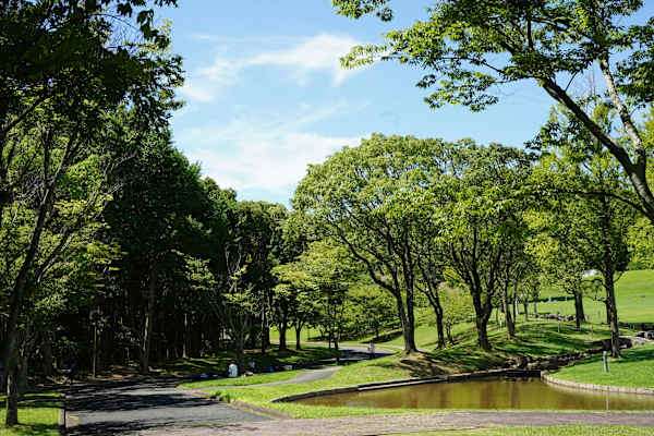 Britany Village property