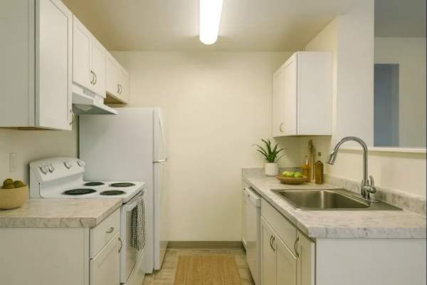 Oakes Street Apartments property