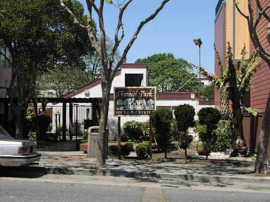 Ammel Park Cooperative property