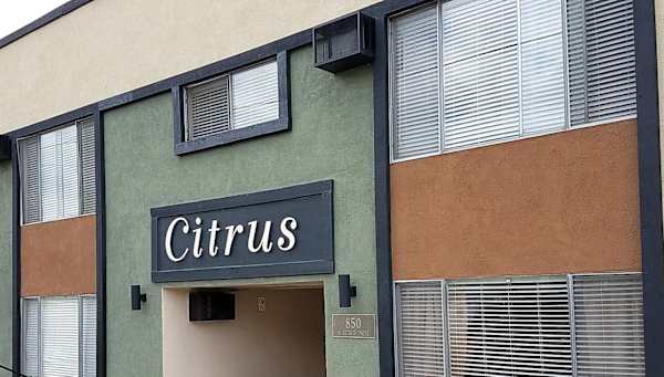 Citrus Apartments property