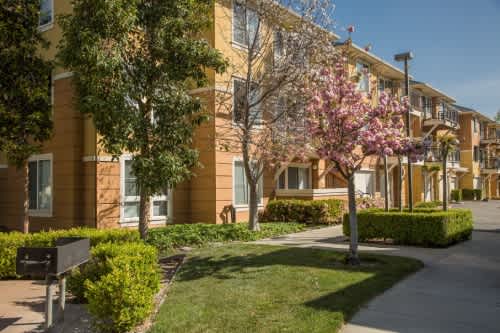 Montevista Apartments property