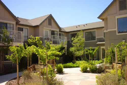 The Arbors property
