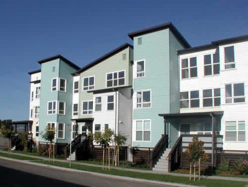 Chestnut Linden property