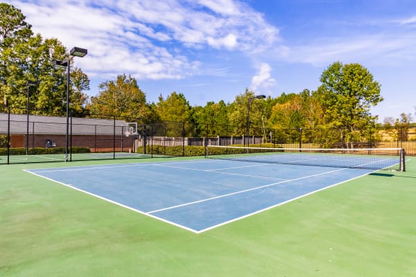 The Vineyard at Castlewoods Apartment Homes property