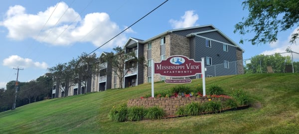 Mississippi View 115 Llc property