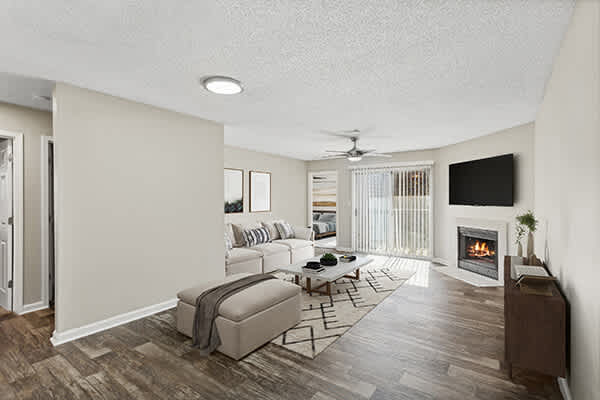 Element 41 property