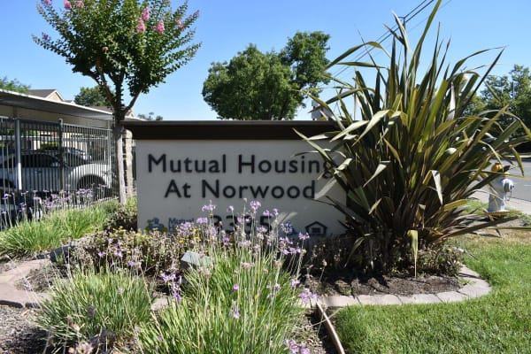 Mutual Housing at Norwood property