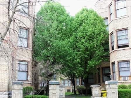 1026 S Fourth St property
