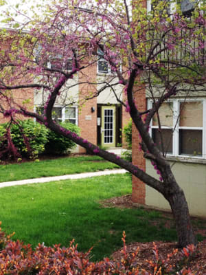 876-886 Leland property