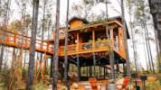 Nova Tree Homes property