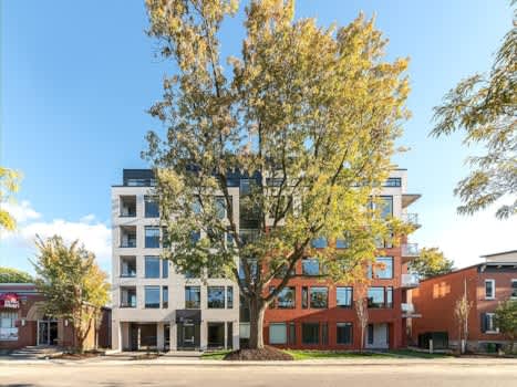 28 Pretoria Ave property