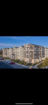 113 Pallid Court property