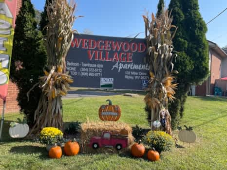 WEDGEWOOD VILLAGE APTS. property