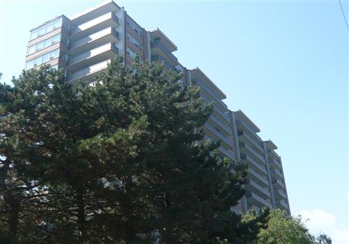 360 Torrance property