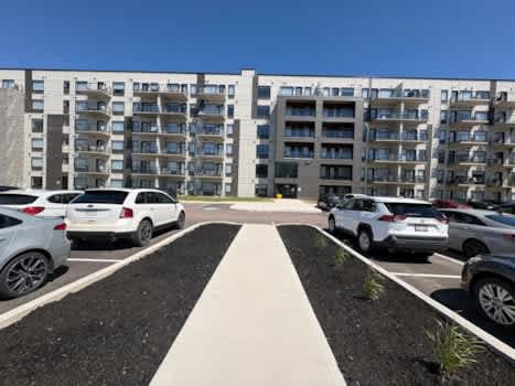 290 Millennium property