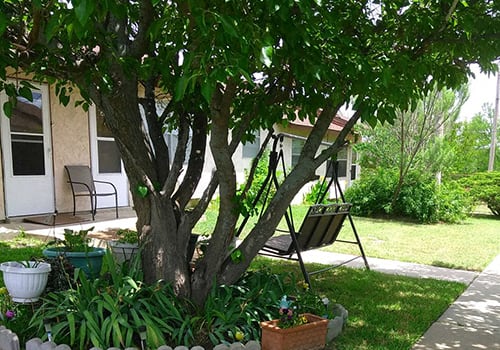 Shady Oaks Manor property