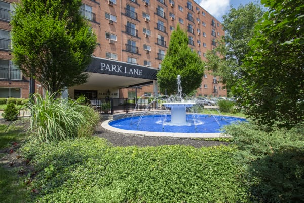 Park Lane property