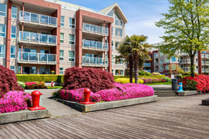 Spring Mews property