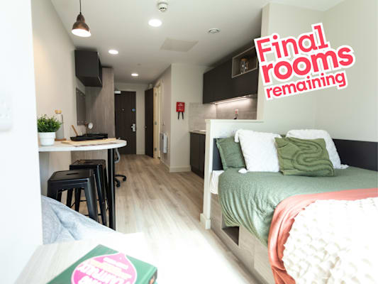 Deluxe Plus Studio room type