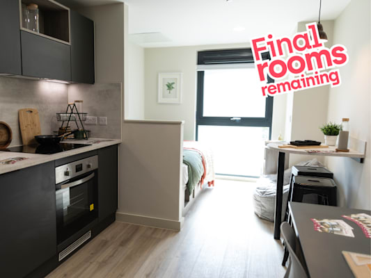 Penthouse Deluxe Studio room type