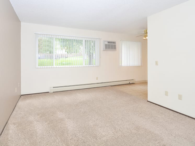 Living Room with Plush Carpeting