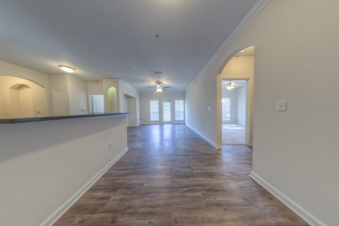 Gallery Photo 6