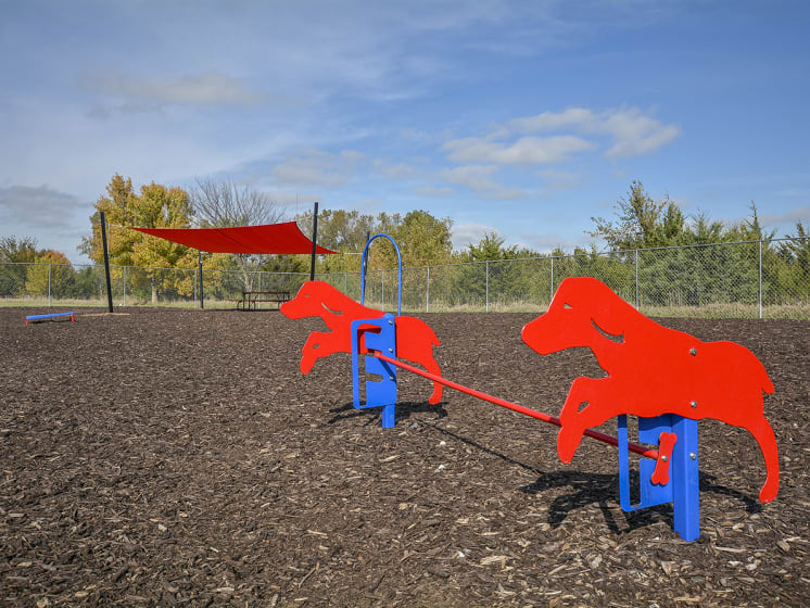 Play Equipment at the Dog Park