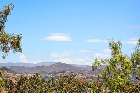 Scenic view