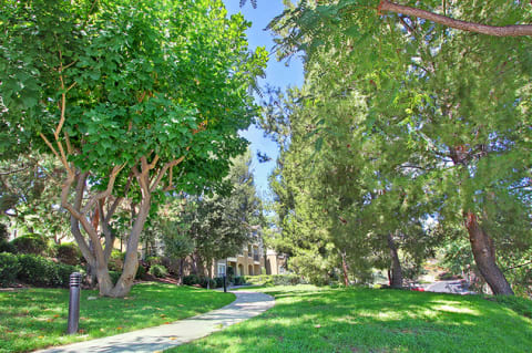 Outdoor trail