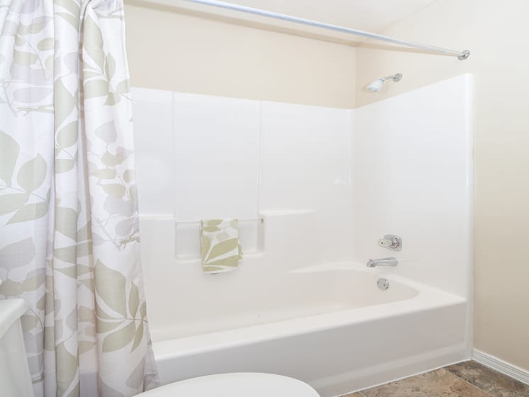 Large Shower with Tub