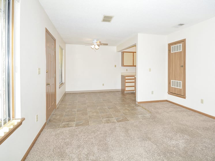 Living Room with Plush Carpet