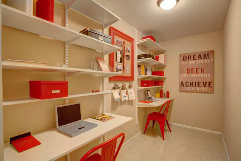 Large Walk-in Closet with Carpet Floors and Built-in Shelves