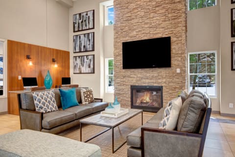 Modern Clubhouse Lounge with Seating Area, Fireplace, and TV