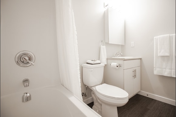 Gallery Photo 29