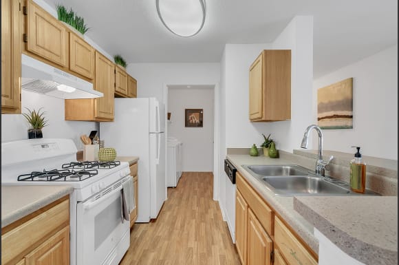 Concordrents Concord Management Rental Apartments Property Management