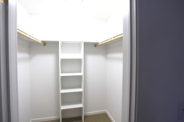 A white closet with a ladder and shelves.