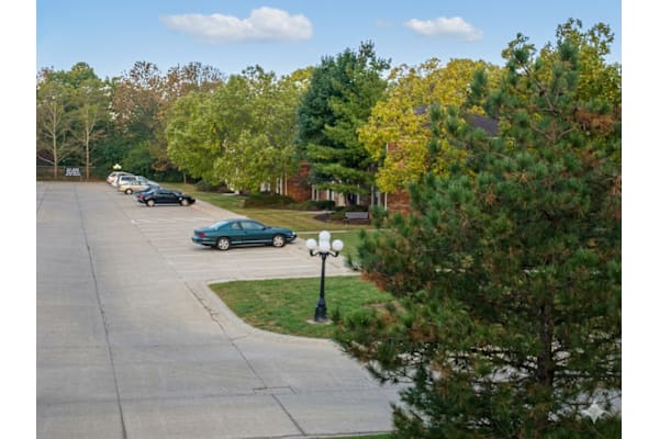 A parking lot with cars and trees.