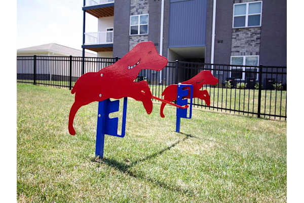two red dogs sitting on chairs in the grass