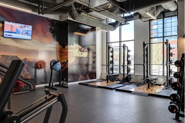 A gym with a variety of equipment including treadmills, weights, and a television screen.