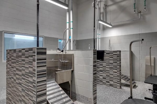 A modern bathroom with a walk-in shower and a sink.