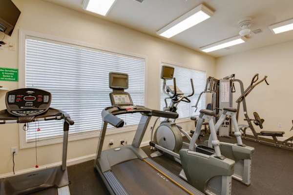 Cardio equipment in the fitness center